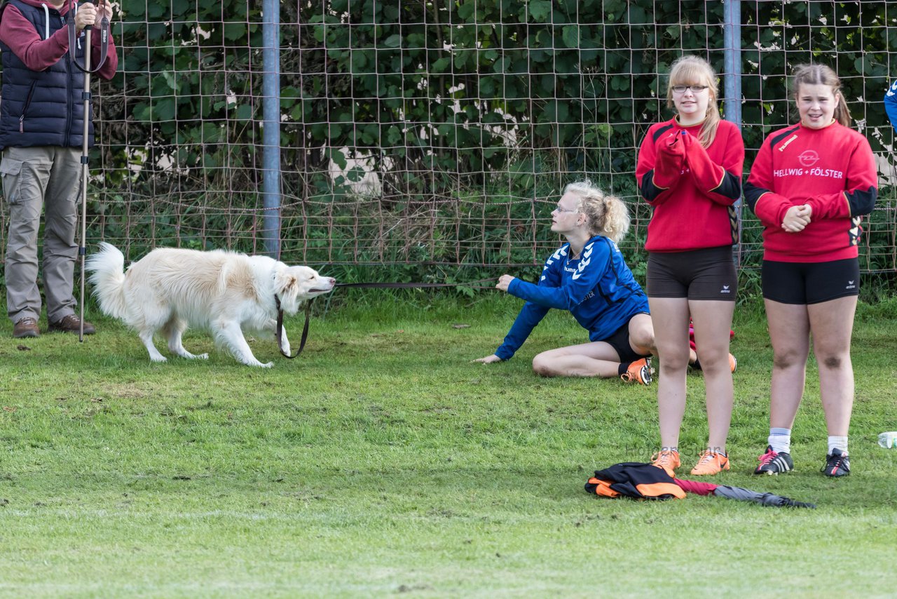 Bild 1085 - DM U16 Groenaspe